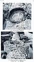 Carthage aq 119